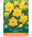 Daffodil 'Dutch Master' (8 Bulbs)