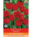 Tulip 'Crystal Beauty' (6 Bulbs)