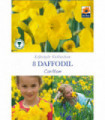 Daffodil 'Carlton' (8 Bulbs)