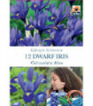 Dwarf Iris 'Reticulata Blue' (12 Bulbs)