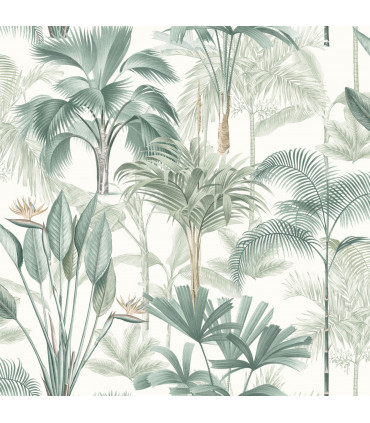 King Palm Green sw12