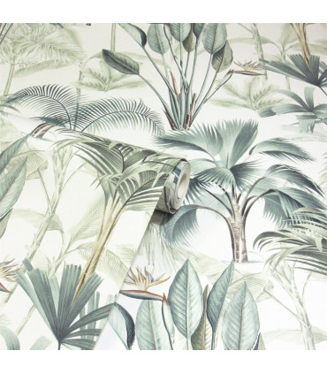 King Palm Green sw12