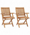 vidaXL Folding Garden Chairs 2 pcs Solid Teak Wood