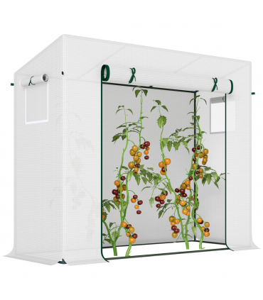 Outsunny 200x76x168cm Walk-in Garden Greenhouse Plant Warm House w/ Roll Up Door