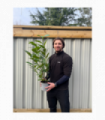 3ft (80-90cm) Potted Cherry Laurel Hedge Plants (Multibuy Offers Available)