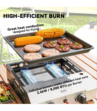 Compact Propane Gas Grill with Enameled Plancha & Easy Cleaning Features