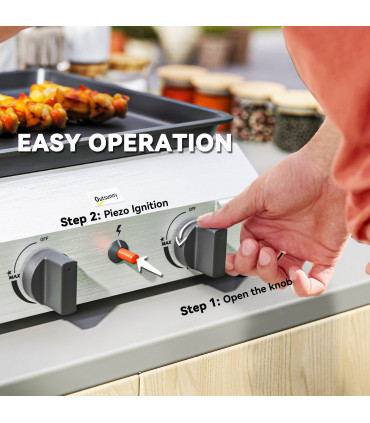 Compact Propane Gas Grill with Enameled Plancha & Easy Cleaning Features