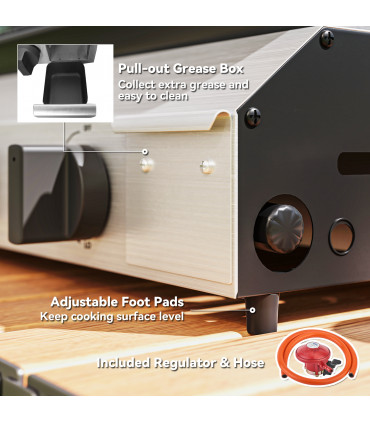 Compact Propane Gas Grill with Enameled Plancha & Easy Cleaning Features