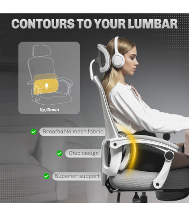 HOMCOM Mesh Ergonomic Office Chair with Lumbar Support, Headrest, Grey