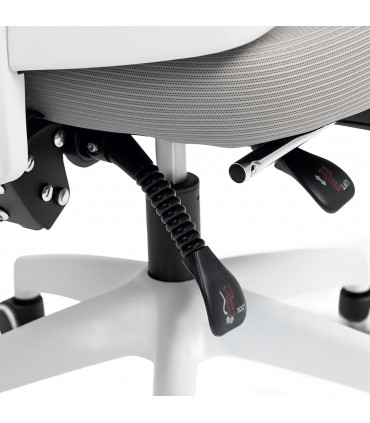 HOMCOM Mesh Ergonomic Office Chair with Lumbar Support, Headrest, Grey