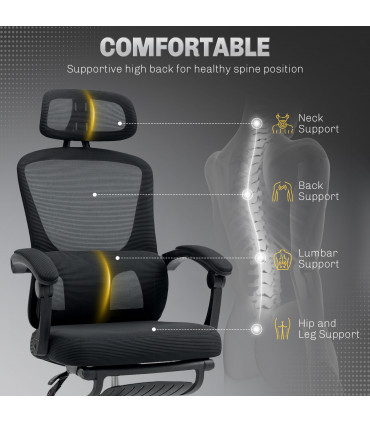 HOMCOM Mesh Ergonomic Office Chair with Lumbar Support, Headrest, Black