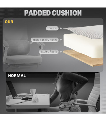 HOMCOM Mesh Ergonomic Office Chair with Lumbar Support, Headrest, Black