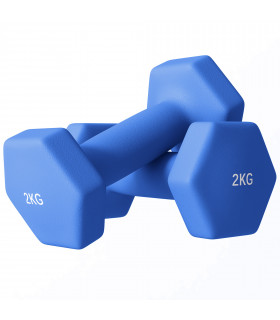SPORTNOW Set of 2 Hexagonal Dumbbells Weights Pair, 2 x 2kg, Blue