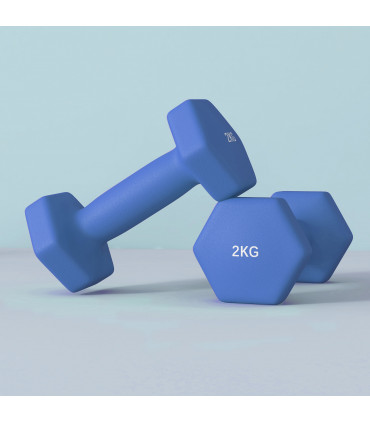 SPORTNOW Set of 2 Hexagonal Dumbbells Weights Pair, 2 x 2kg, Blue