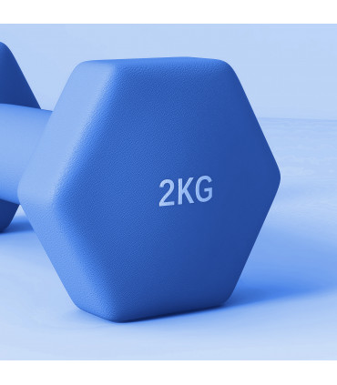 SPORTNOW Set of 2 Hexagonal Dumbbells Weights Pair, 2 x 2kg, Blue
