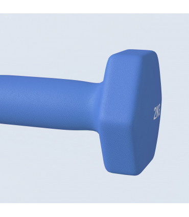 SPORTNOW Set of 2 Hexagonal Dumbbells Weights Pair, 2 x 2kg, Blue