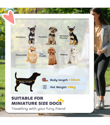 PawHut Lightweight Foldable Dog Stroller for Mini Dogs, Dark Green