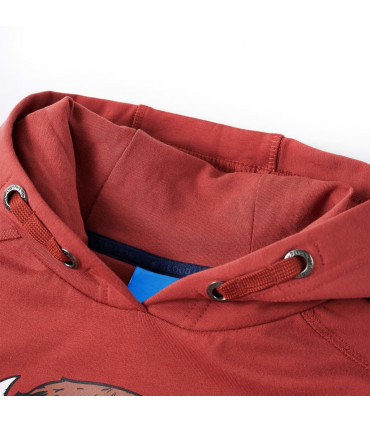 Kids' Hooded Sweatshirt Burnt Red 104