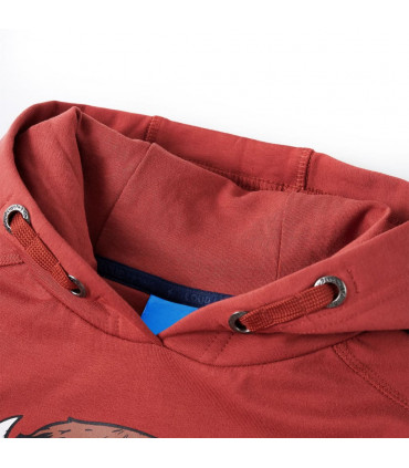 Kids' Hooded Sweatshirt Burnt Red 92