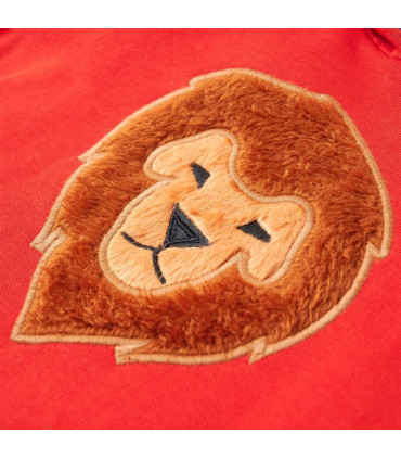 Kids' Hooded Sweatshirt Red 116