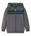 Kids' Hooded Sweatshirt with Zip Grey Melange 104