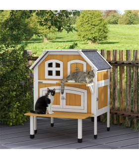 Cat House