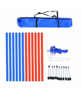 Dog Agility Training Equipment