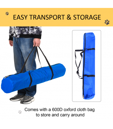 Dog Agility Training Equipment