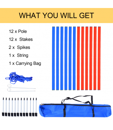 Dog Agility Training Equipment