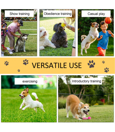 Dog Agility Training Equipment
