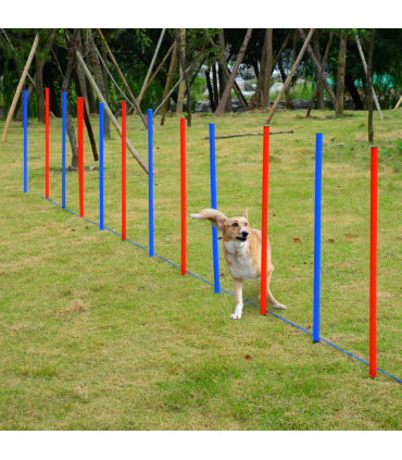 Dog Agility Training Equipment