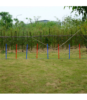 Dog Agility Training Equipment