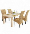 vidaXL Dining Chairs 4 pcs Abaca and Solid Mango Wood