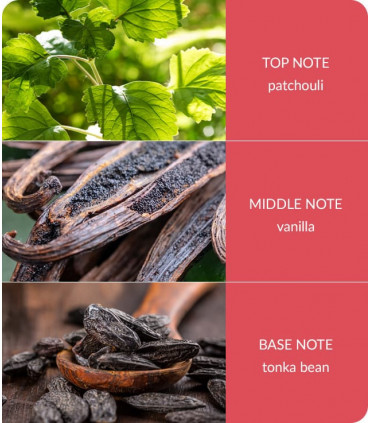 True Enchantment Soy Wax Melt - Up To 12 Hours Burn Use With Wax Warmer