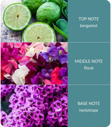 Sweet Pea Essential Oil Blend  - 10ml Concentrated Oil