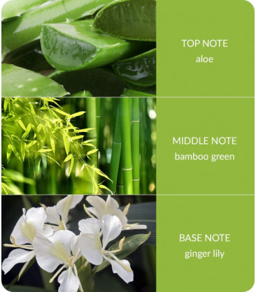 Bamboo & Ginger Lily Small Soy Candle  - 20 Hours Burn - Crackling Wick