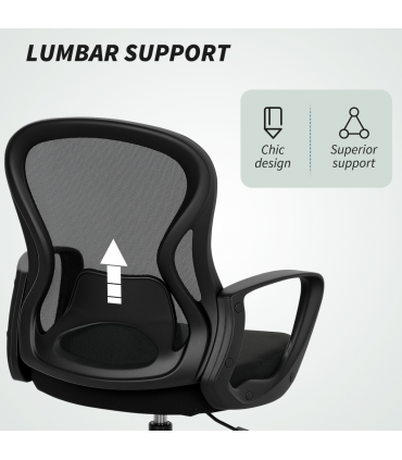 Vinsetto Mesh Office Chair with Lumbar Support, Adjustable Height, Black