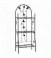 3-Layer Plant Rack Black 52x28x128 cm Iron
