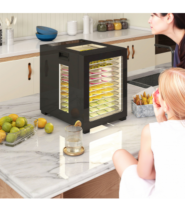 HOMCOM Food Dehydrator with 12 Stainless Steel Tray, 850W Food Dryer Machine