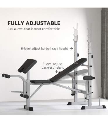 HOMCOM Adjustable Weight Bench with Squat Rack, Leg Developer, Grey