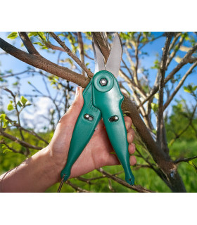2 in 1 Multi Purpose Garden Shears