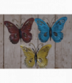 Butterfly Wall Art