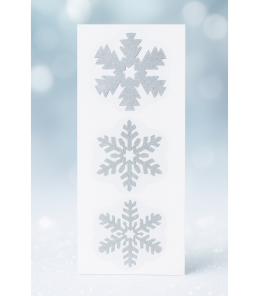 3D Snowflakes Stickers (set of 13)