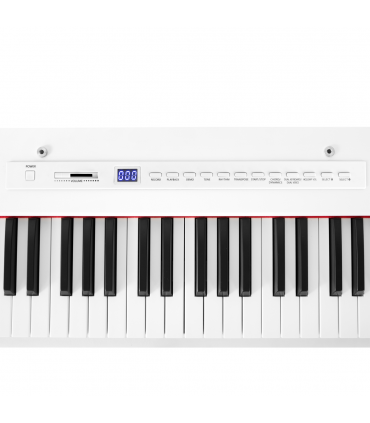 DIGITAL PIANO