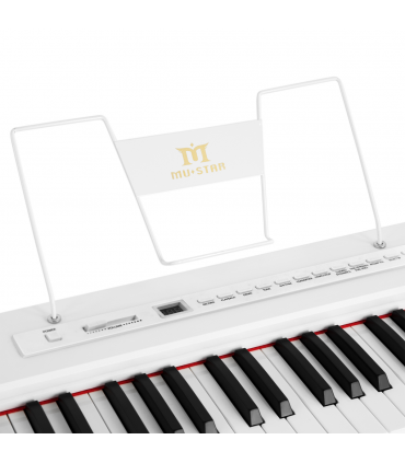 DIGITAL PIANO