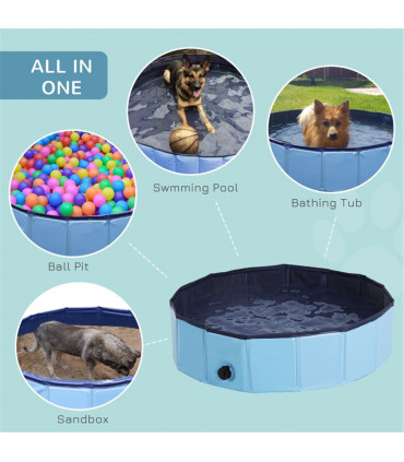 Dog Pool