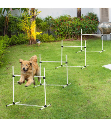Dog agility training equipment