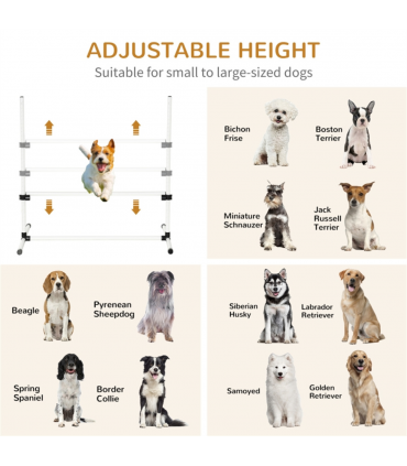 Dog agility training equipment