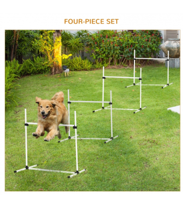 Dog agility training equipment