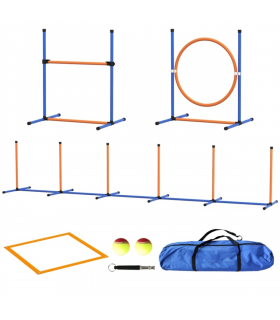 Dog agility training equipment